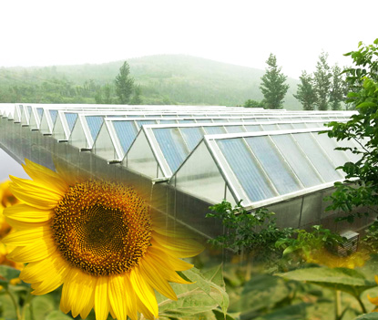 新型太陽能建筑很“聰明”，節(jié)電節(jié)水不費(fèi)力